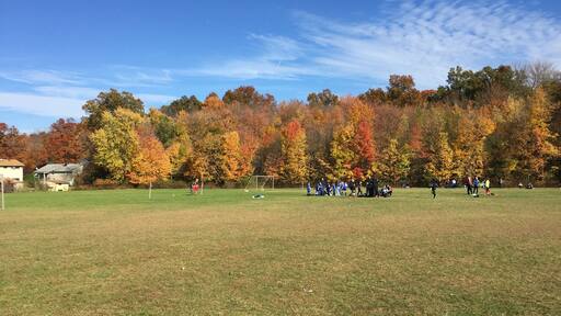 Lovely fall colors at the background of soccer field and clear day!