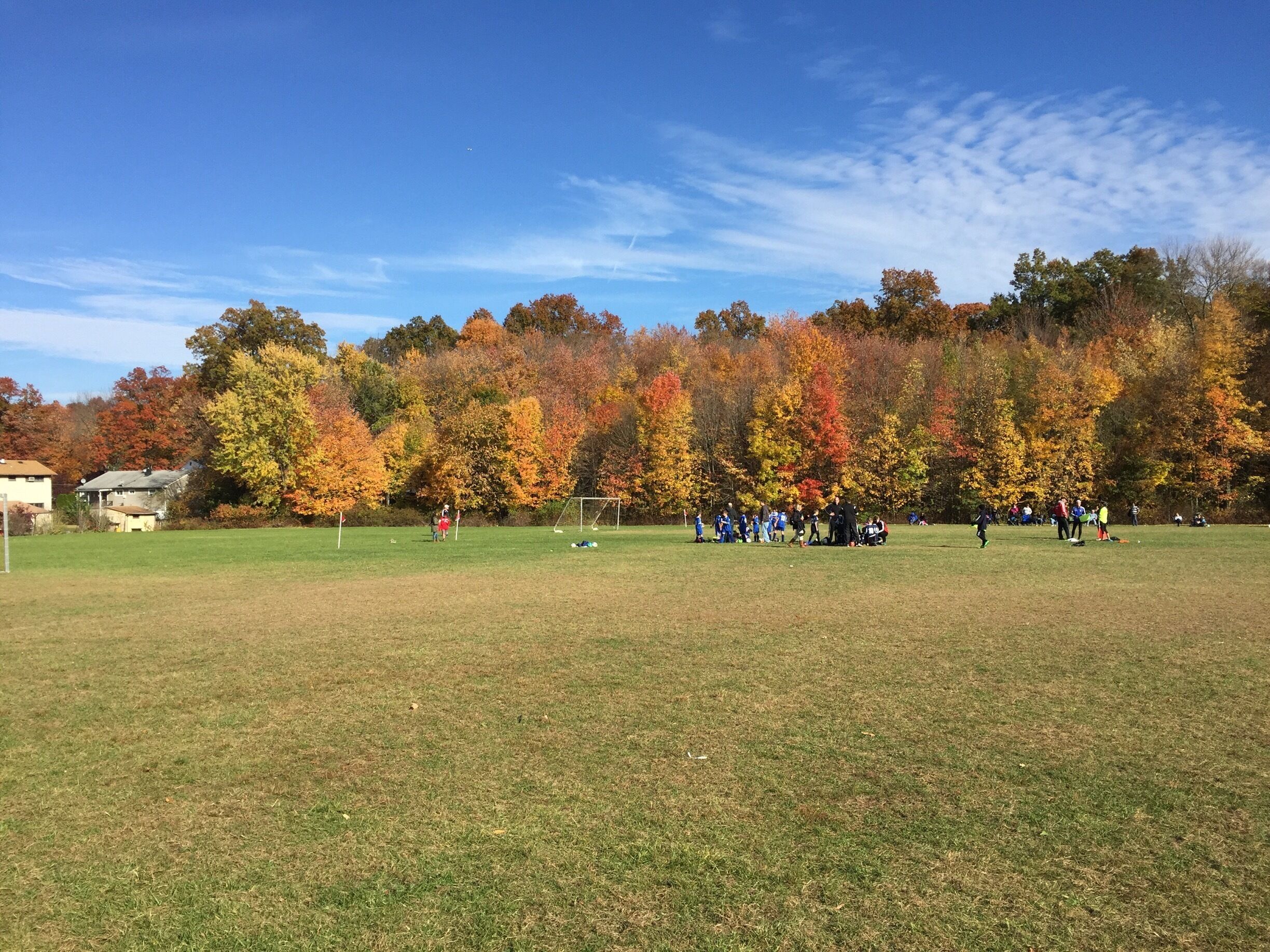 A grassy field with autumn trees and a soccer goal.