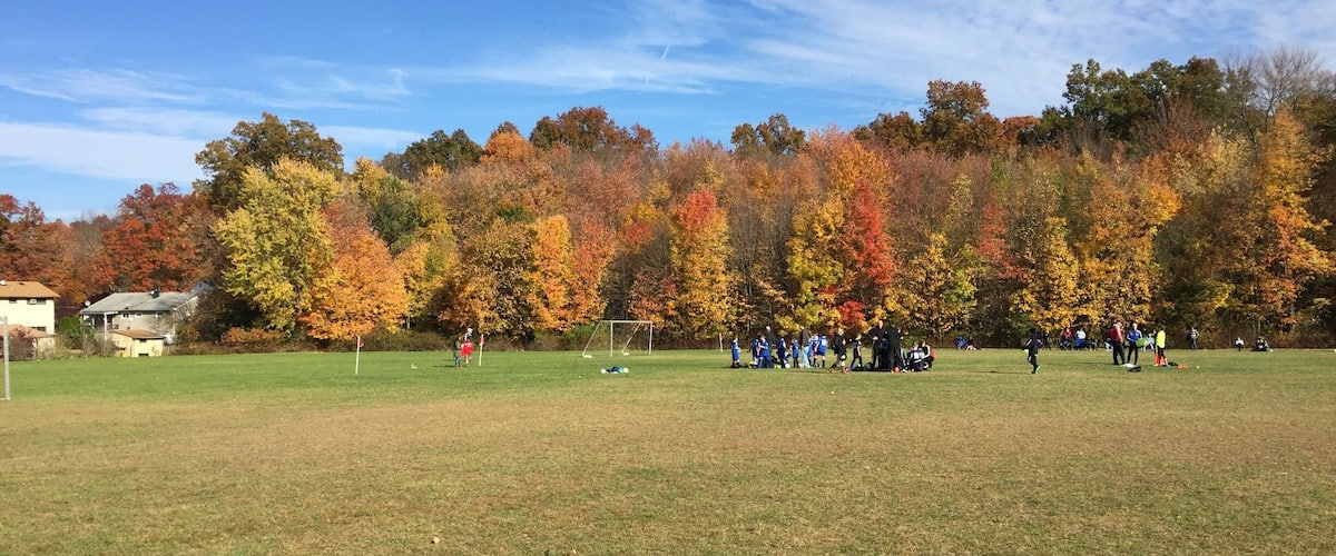 A grassy field with autumn trees and a soccer goal.