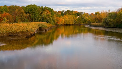 Hackensack River New Jersey