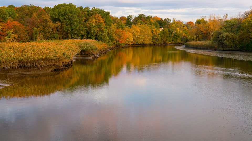 A calm river reflecting autumn trees.