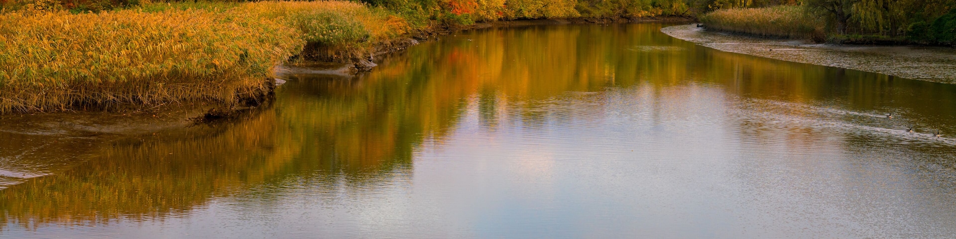 Hackensack River New Jersey