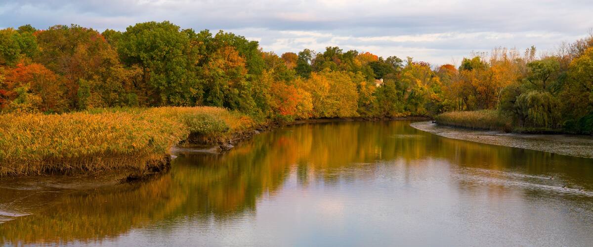 A calm river reflecting autumn trees.