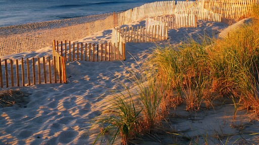 Warm early light at the seashore