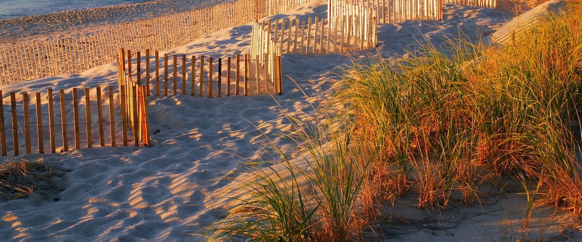 A sandy beach with wooden fences and grass.