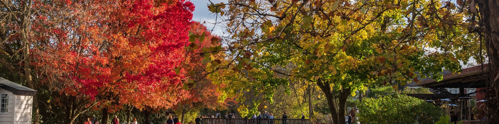 Vistors walk the paths of the Delaware Canal Trail during a warm fall day as the trees show their autumn foliage.