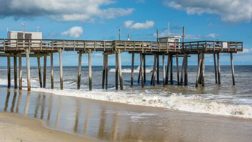 ๋ง๊ฒ์ดํธ ์ํฐ