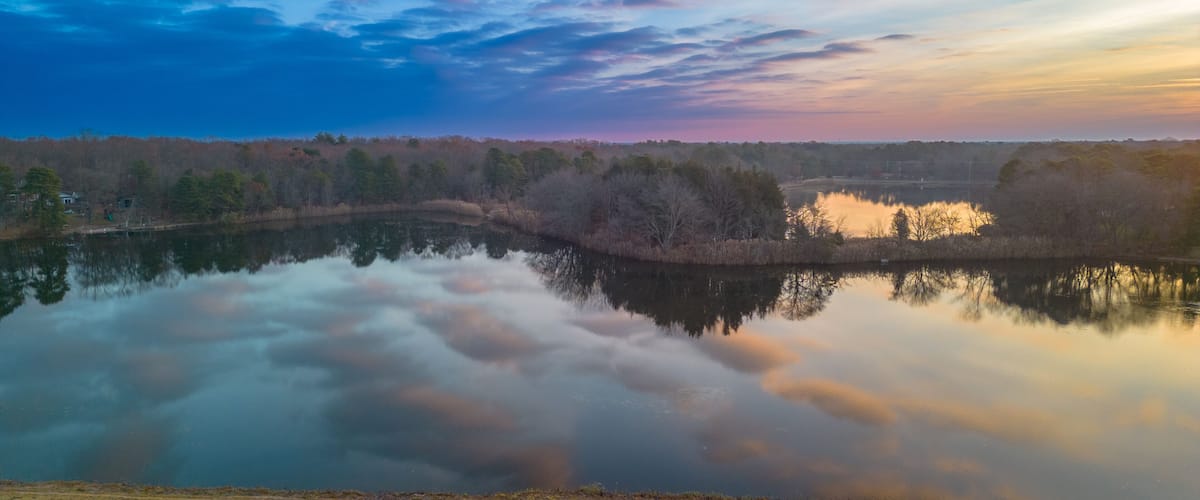 A tranquil lake with a wooden dock, surrounded by trees and a clear sky.