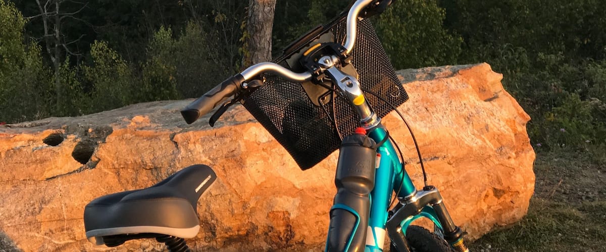 A bicycle parked near a large tree with a scenic view of a mountainous landscape in the background.
