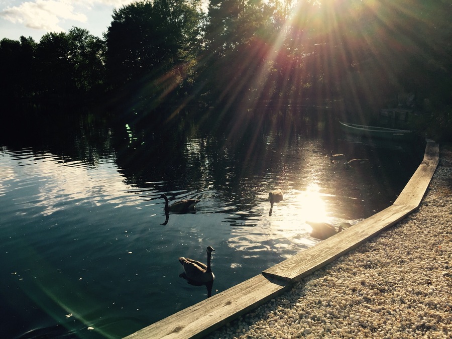 Lake