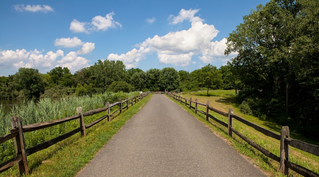 A the path along Marlu Lake in New Jersey