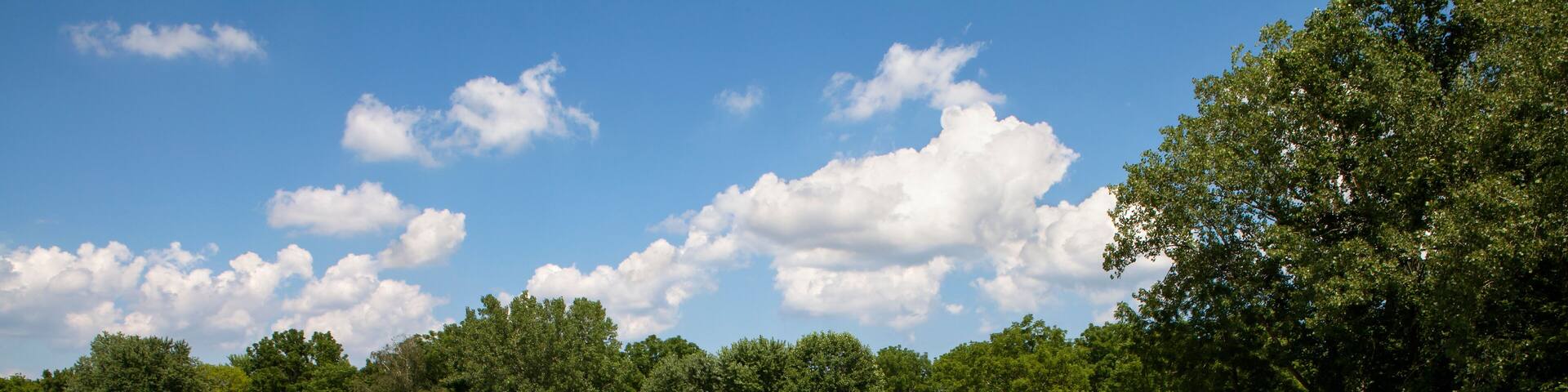 A the path along Marlu Lake in New Jersey