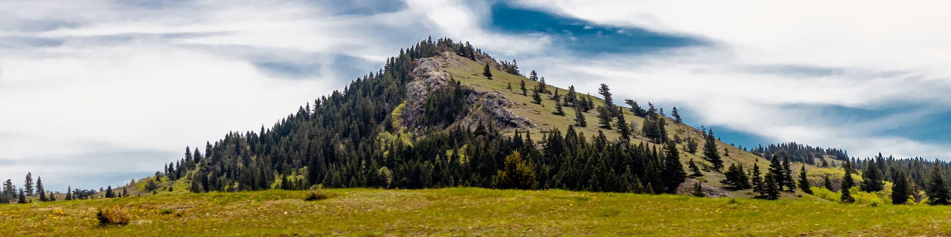 Foothill in a field. Beaver Mines, Alberta, Canada