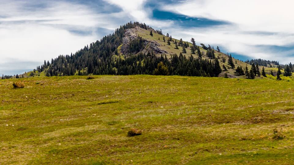 A grassy hill with a forested mountain in the background.
