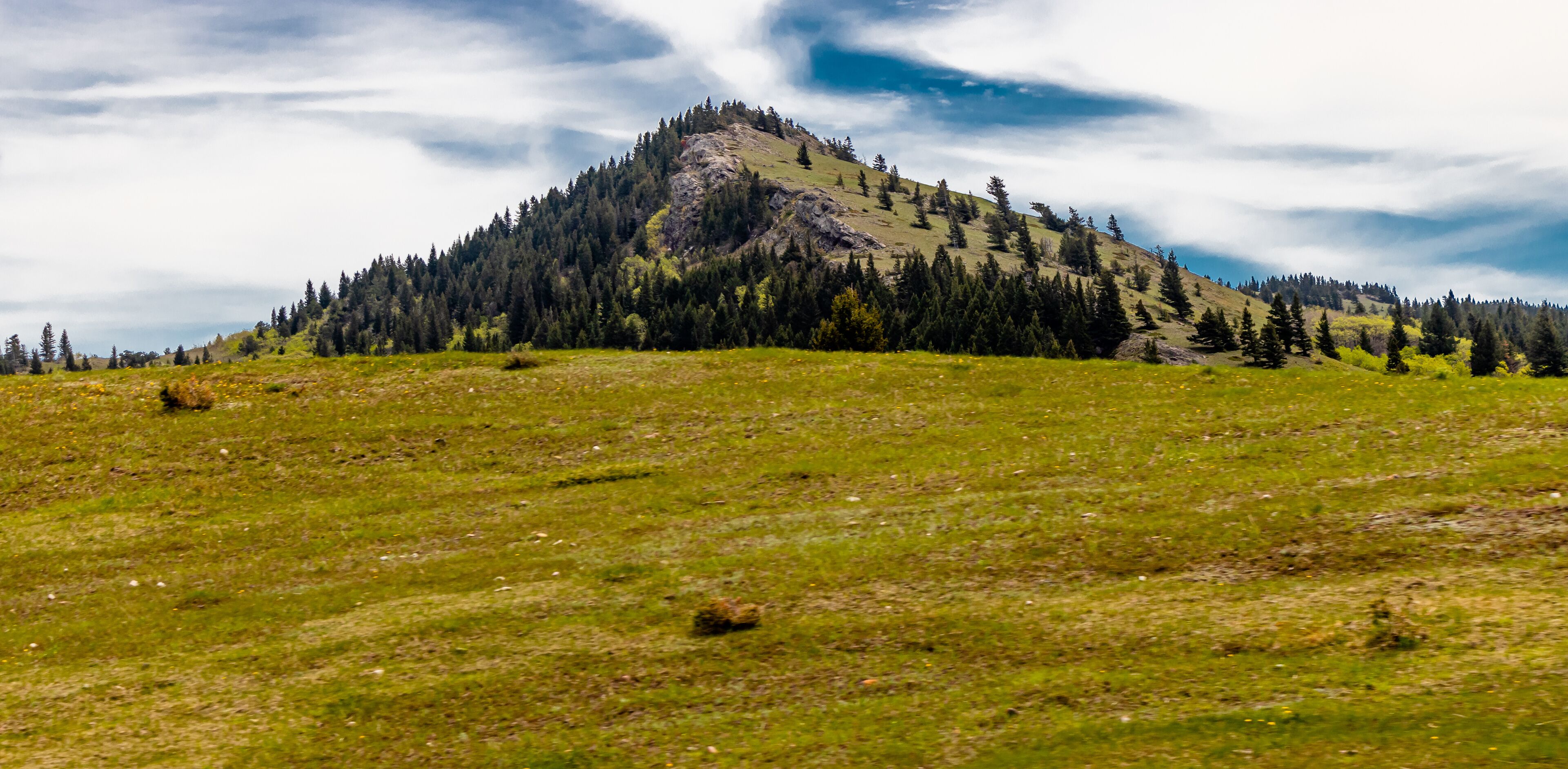 A grassy hill with a forested mountain in the background.