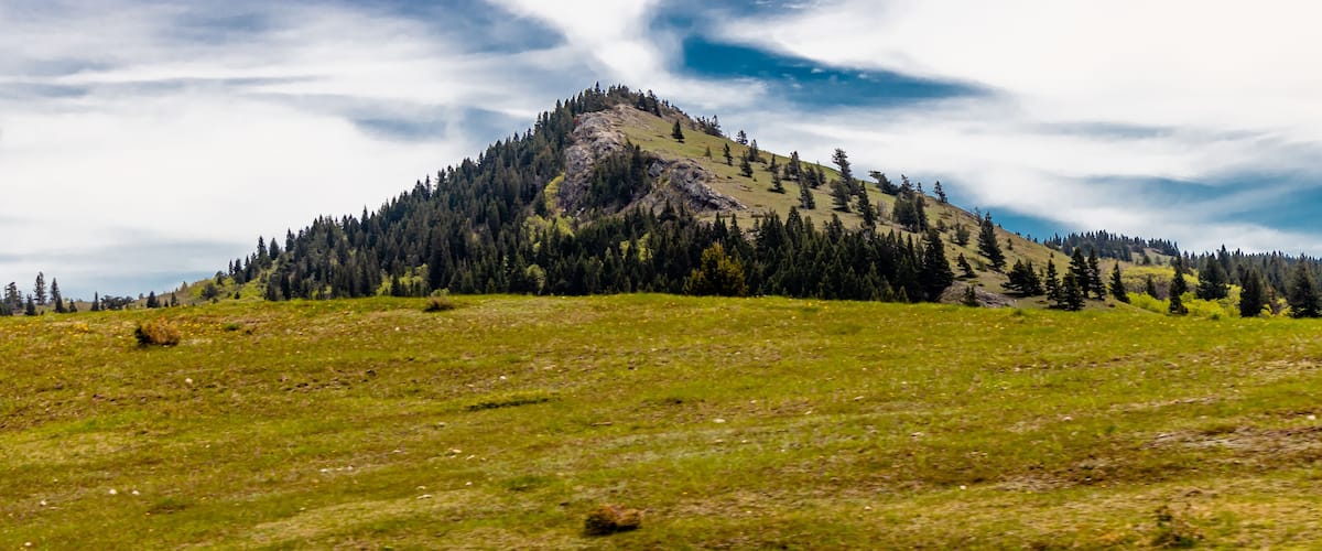 A grassy hill with a forested mountain in the background.