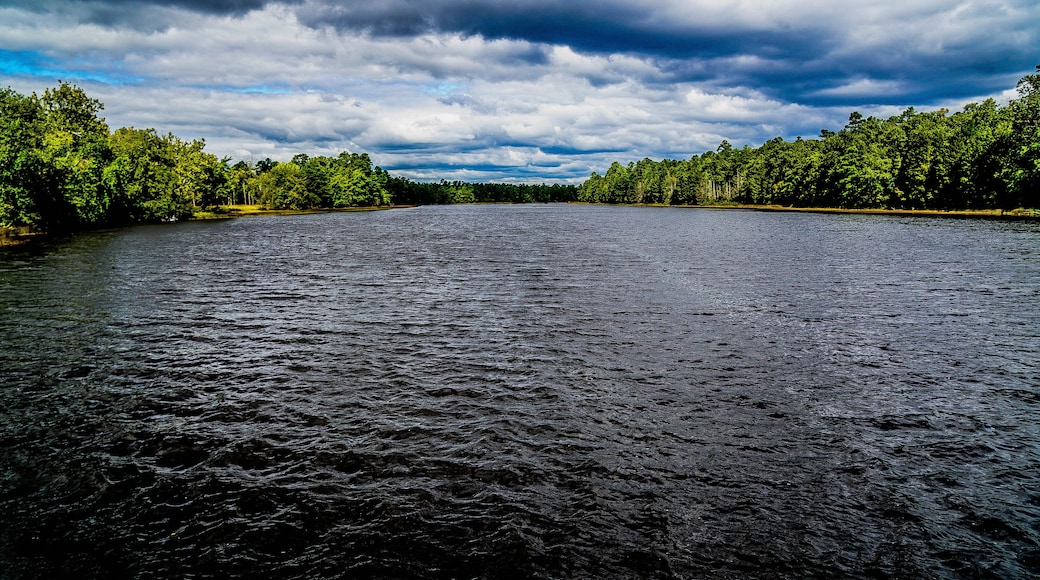 Atison Lake Wharton State Park New Jersey