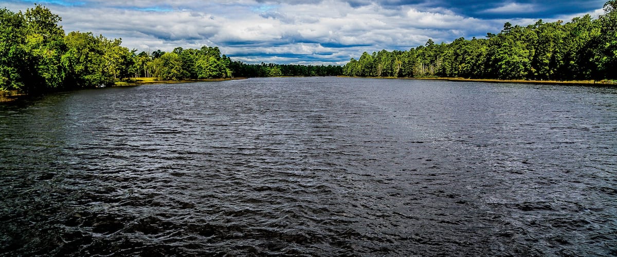 A river surrounded by dense green forest under a cloudy sky.