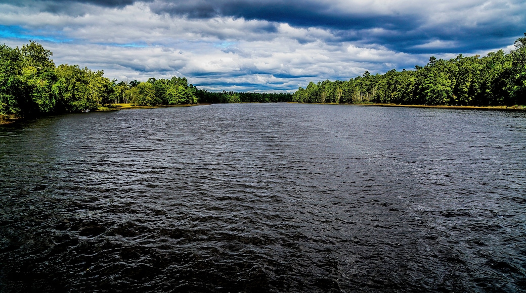 Wharton State Forest Batsto Village Lake