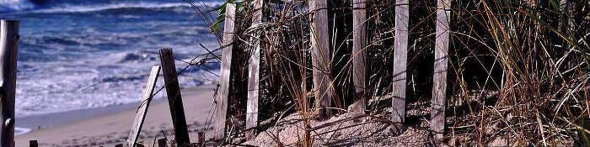 #beach
Down The Shore....
LBI shopping, dining and beautiful Jersey beaches. More family oriented than Seaside.
#BeachBound