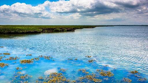 EHWBRG A marsh on Strathmere Bay, in Strathmere, New Jersey