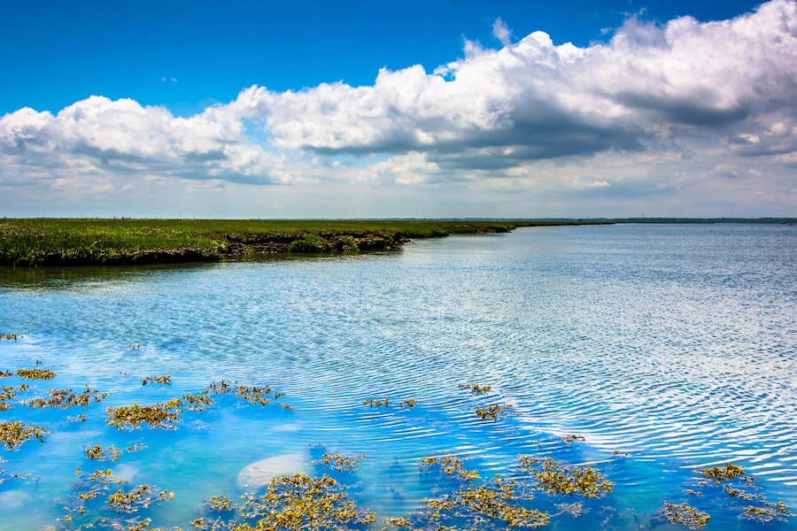 EHWBRG A marsh on Strathmere Bay, in Strathmere, New Jersey