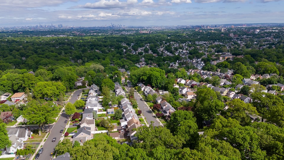 A suburban neighborhood with tree-lined streets and a distant city skyline.