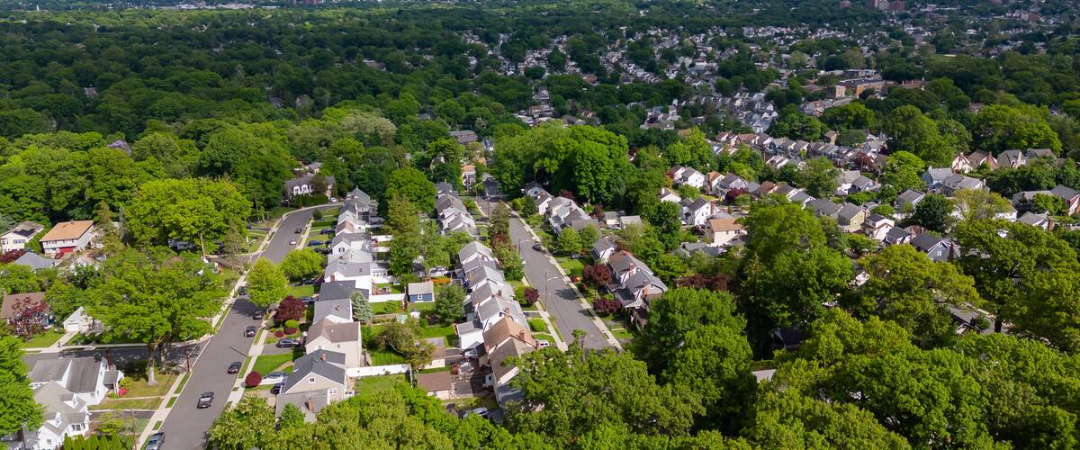 A suburban neighborhood with tree-lined streets and a distant city skyline.