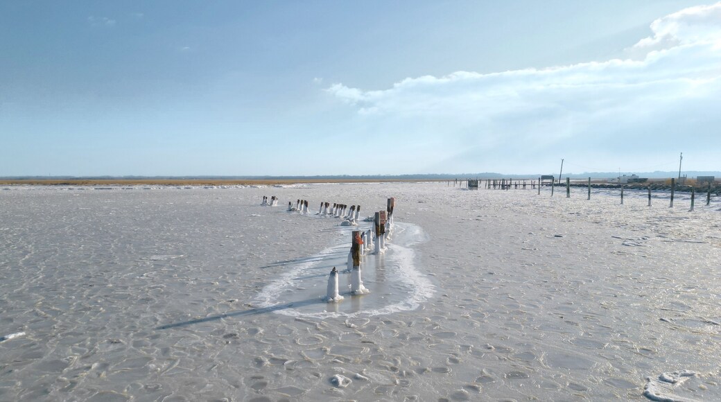 The Delaware Bay is Frozen near Cape May, NJ