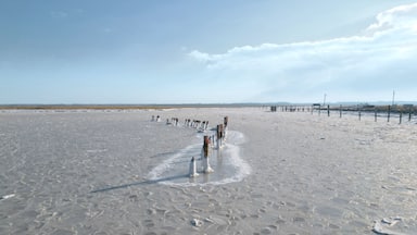 The Delaware Bay is Frozen near Cape May, NJ