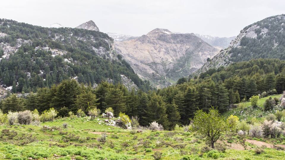 A mountainous landscape with dense forests and rocky terrain.