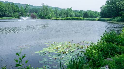 Watchung Circle Lake with water fountains in late spring