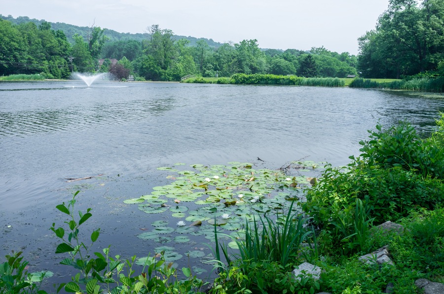 Watchung Circle Lake with water fountains in late spring
