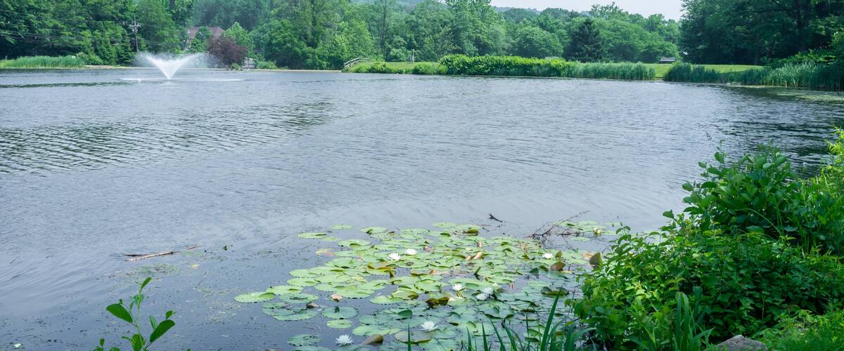 A calm lake with lily pads and a fountain in the center.