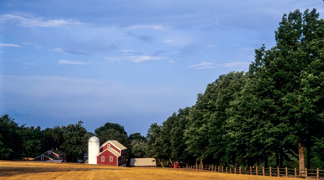 USA, New Jersey, Hunterdon, Cokesbury, red barns and white silo.