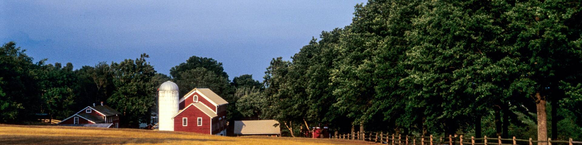 USA, New Jersey, Hunterdon, Cokesbury, red barns and white silo.