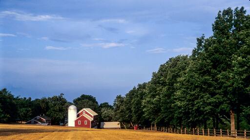 A red barn with a silo, surrounded by a wooden fence and trees.