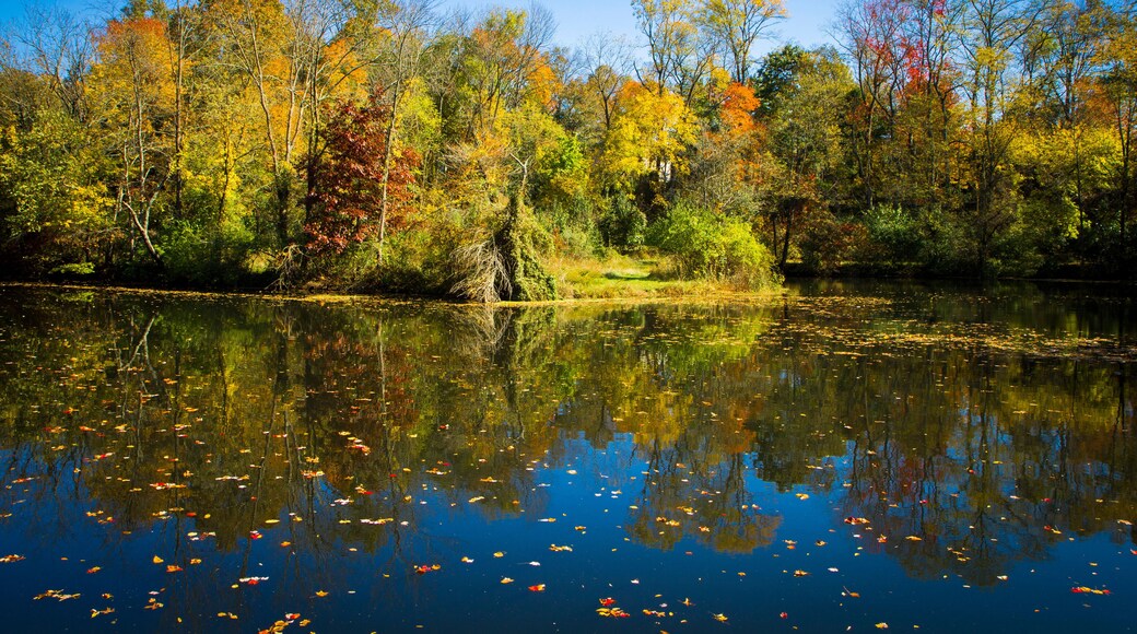 Fall Reflections on the Delaware and Raritan Canal