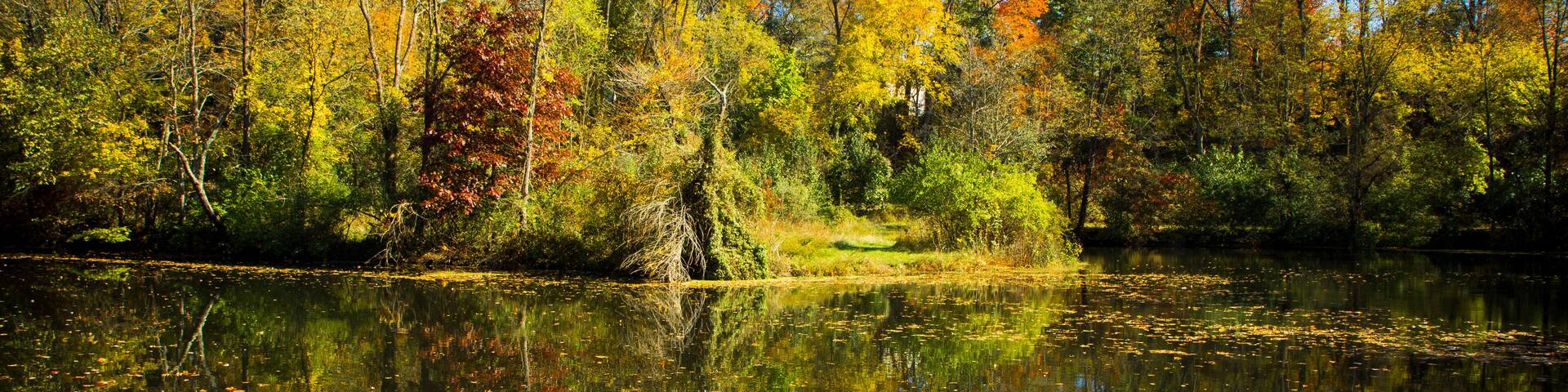 Fall Reflections on the Delaware and Raritan Canal