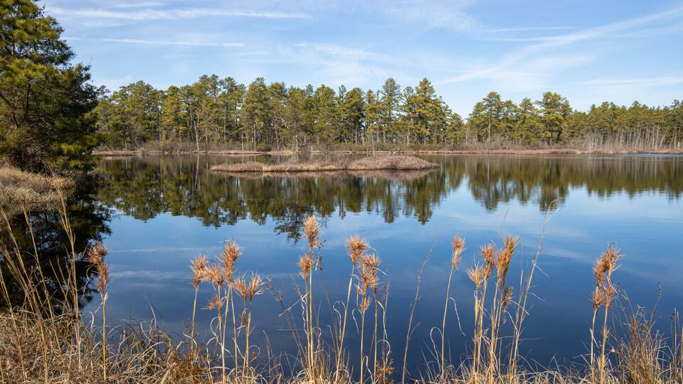 A calm lake surrounded by trees and dry grass.