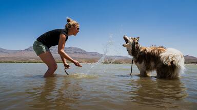 A woman splashes in the water with her dog at Caballo Lake State Park, New Mexico