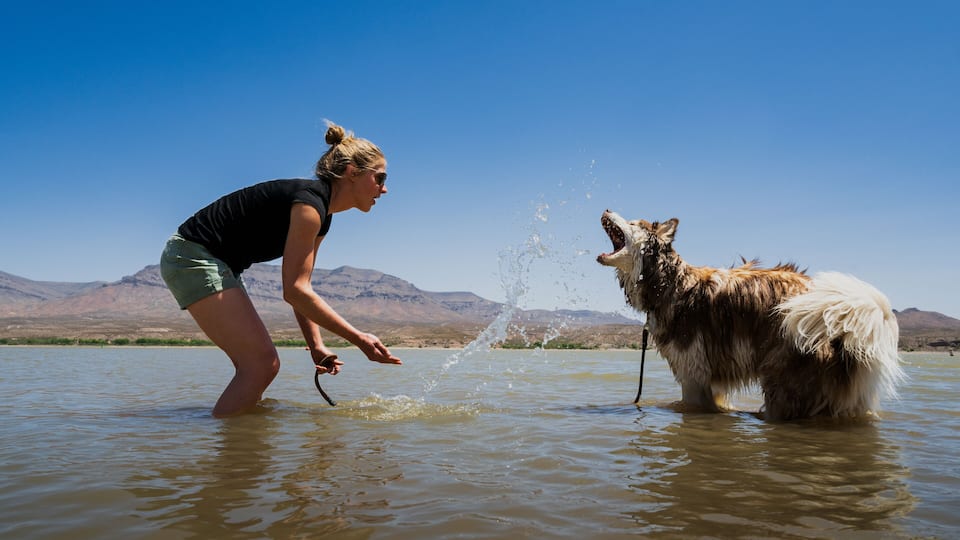 A person playing with a dog in a shallow body of water with mountains in the background.