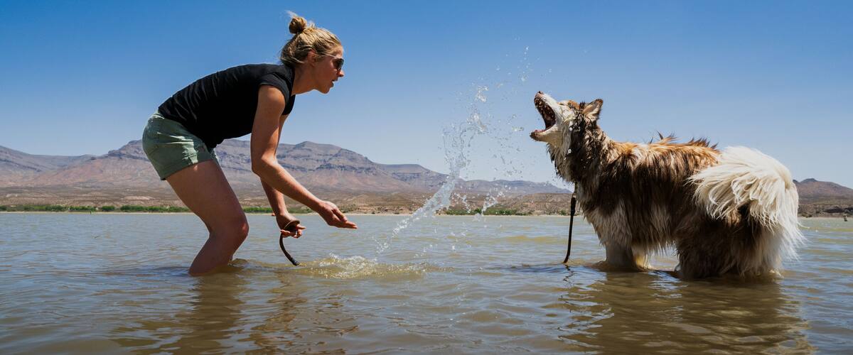 A person playing with a dog in a shallow body of water with mountains in the background.