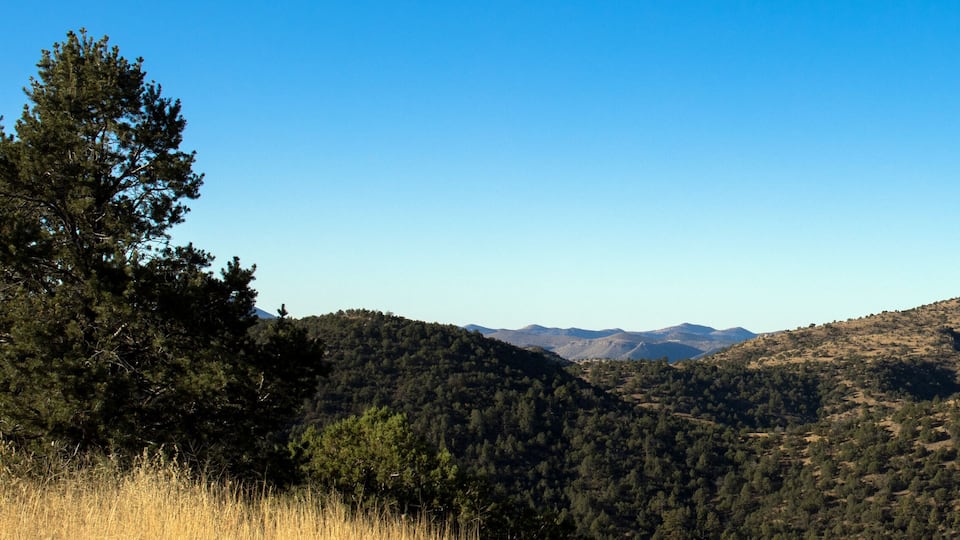 A mountainous landscape with dense forests and clear blue skies.