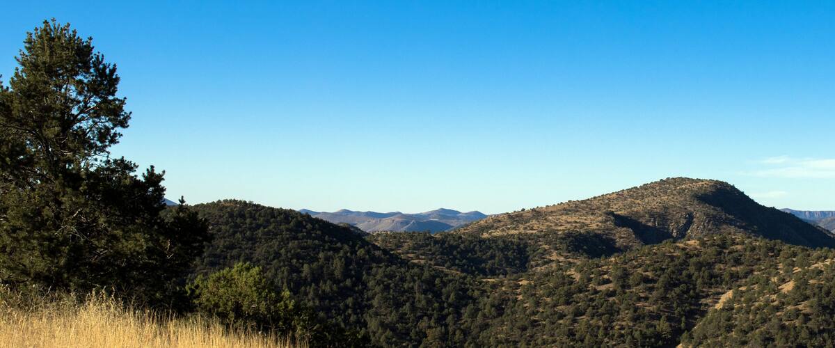 A mountainous landscape with dense forests and clear blue skies.