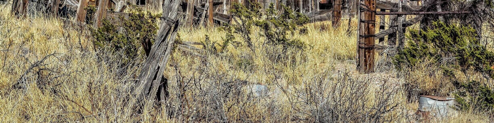 Lake Valley was a silver-mining town that thrived from 1881 to 1893.