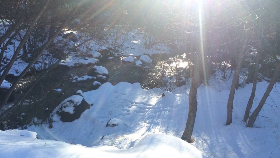 Pure perfection. #snow 