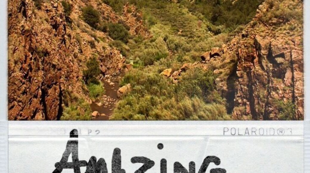 Across from the Gilman Tunnels in the Guadalupe Box rests Guadalupita Mesa at an elevation of 7,464 ft/2,275 m. The volcanic red mountains are something not to miss.