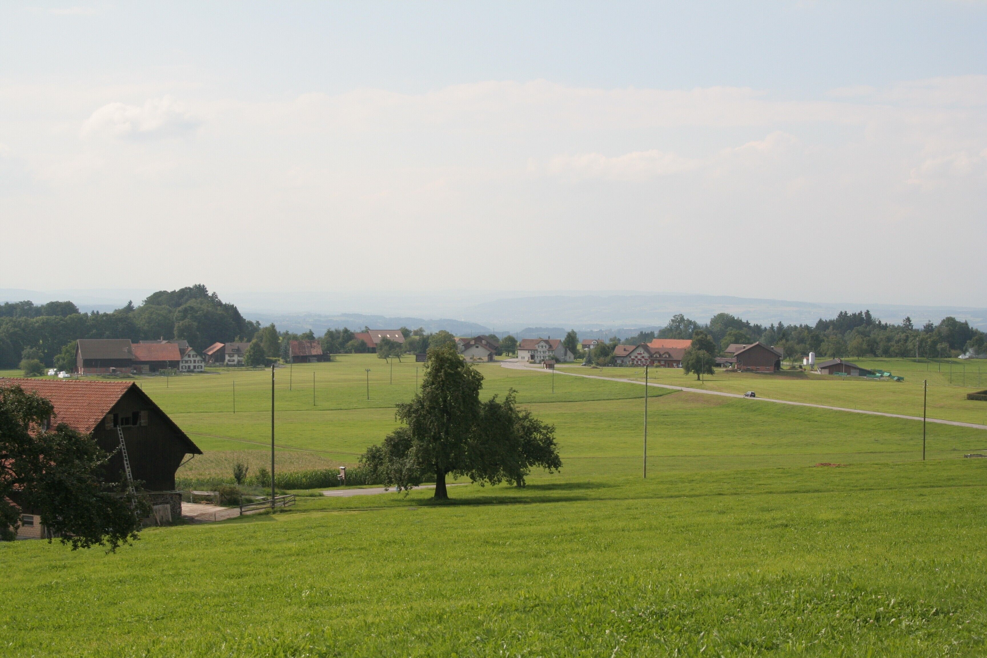 A rural landscape with green fields, a few houses, and a prominent tree in the foreground.