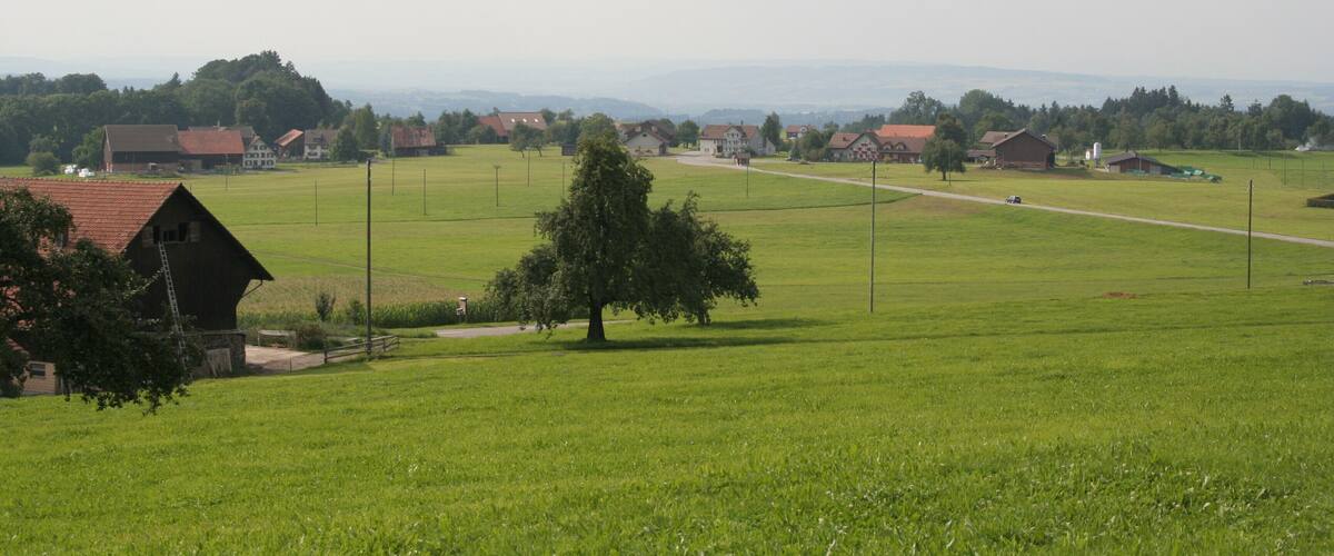 A rural landscape with green fields, a few houses, and a prominent tree in the foreground.